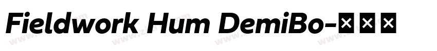Fieldwork Hum DemiBo字体转换